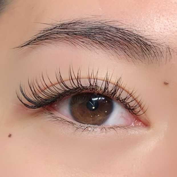 Classic Eyelash Extensions & Fills