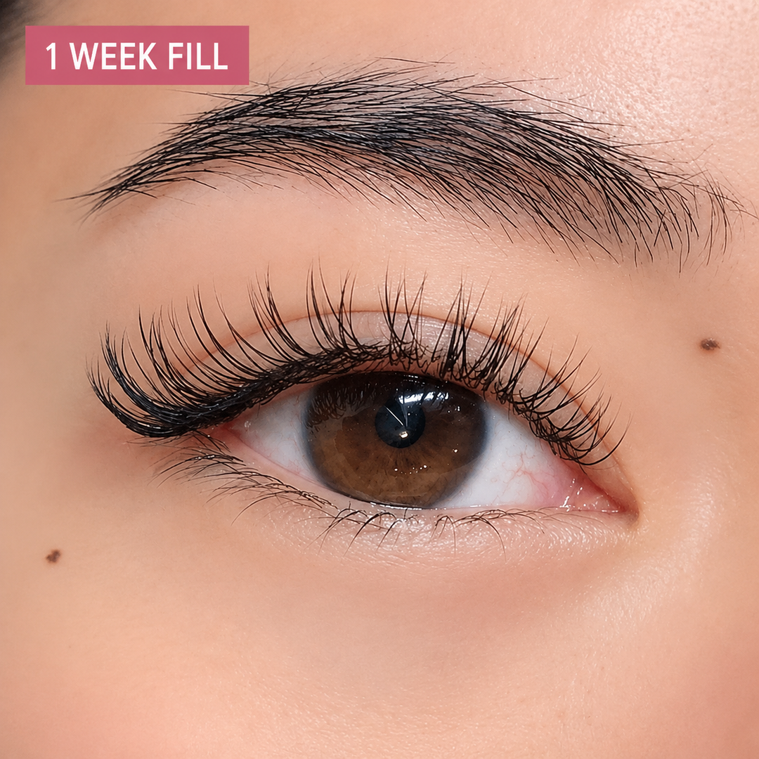 Classic Fill – 1 Week