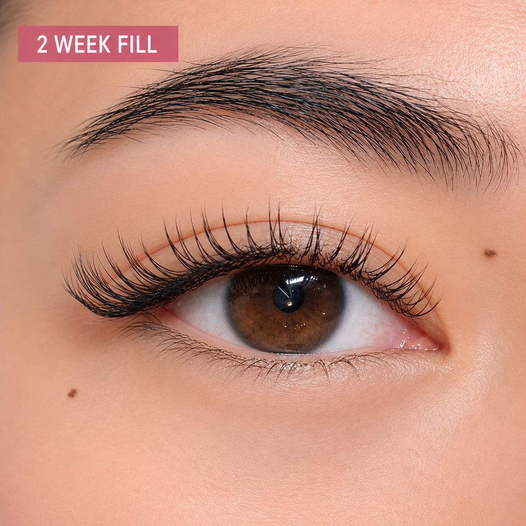 Classic Fill – 2 Weeks